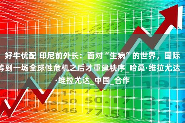 好牛优配 印尼前外长：面对“生病”的世界，国际社会不应等到一场全球性危机之后才重建秩序_哈桑·维拉尤达_中国_合作