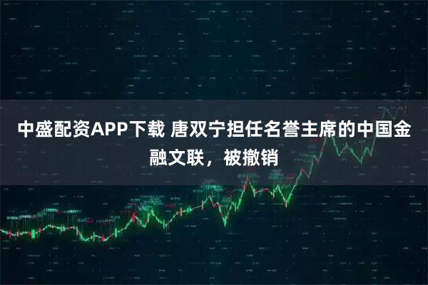 中盛配资APP下载 唐双宁担任名誉主席的中国金融文联，被撤销